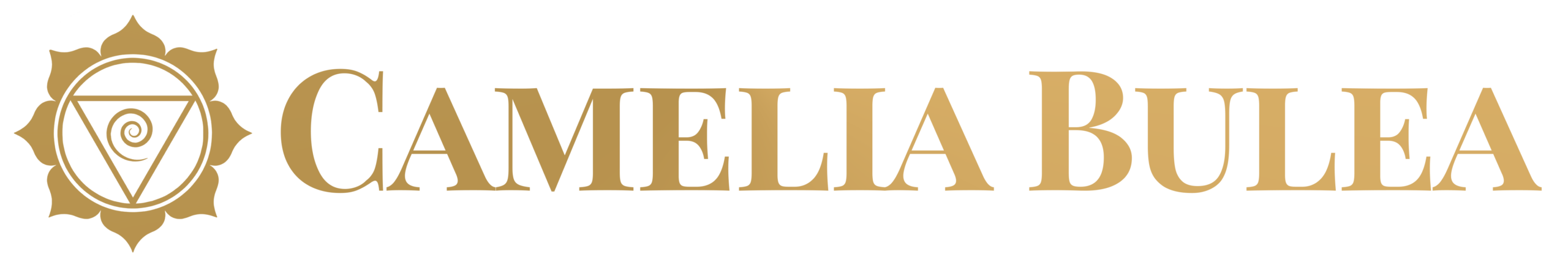 Logo_Long_NEW